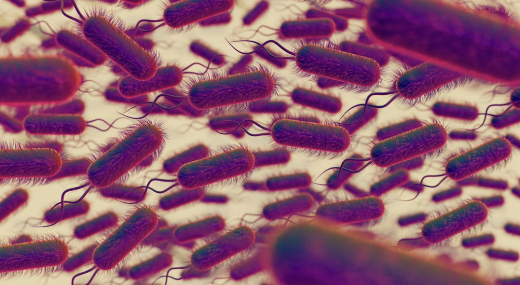 microbiote intestinal